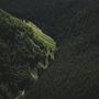 Aerial Nature Forest on Mountains View Wallpaper Mural