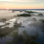 Foggy Rive Forest Landscape Wallpaper Mural