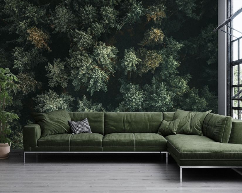 Pine Forest Aerial View Wallpaper Mural