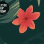 Red Floral and Palm Leaf Pattern Wallpaper Mural