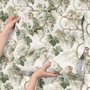 Vintage nature wallpaper with pale monkeys, sage grape leaves, white grape clusters and taupe vines on ivory.