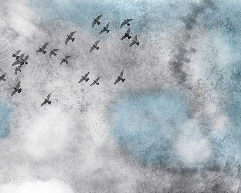 Watercolor Splash Art Wallpaper Mural