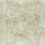 Papier Peint Panoramique Botanique Vintage Feuilles Tropicales