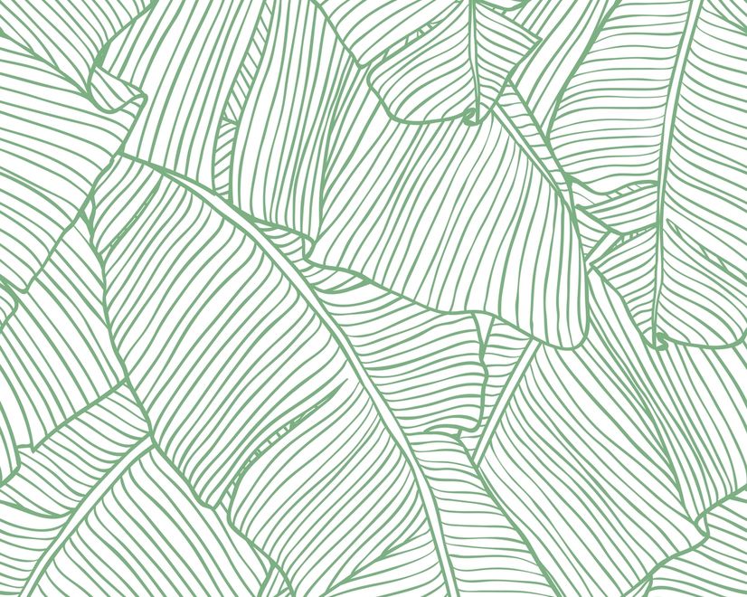 Abstract Lines Palm Leaves Wallpaper Mural