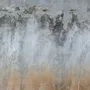 Gray Brown Grunge Cement Style Wallpaper Mural