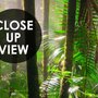 Papier peint paysage forêt tropicale jungle