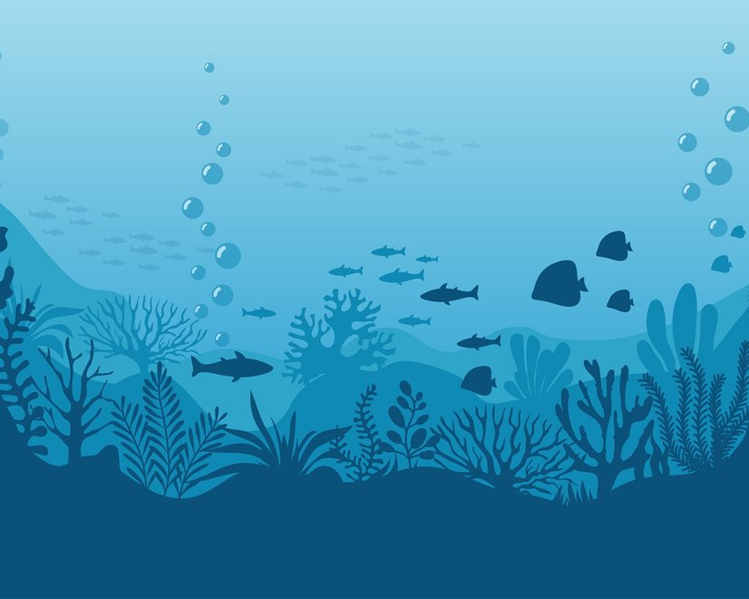 Kids Underwaters and Fish Wallpaper Mural