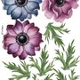 Watercolor Dark Blue Red Anemone Florals Wall Decal Sticker