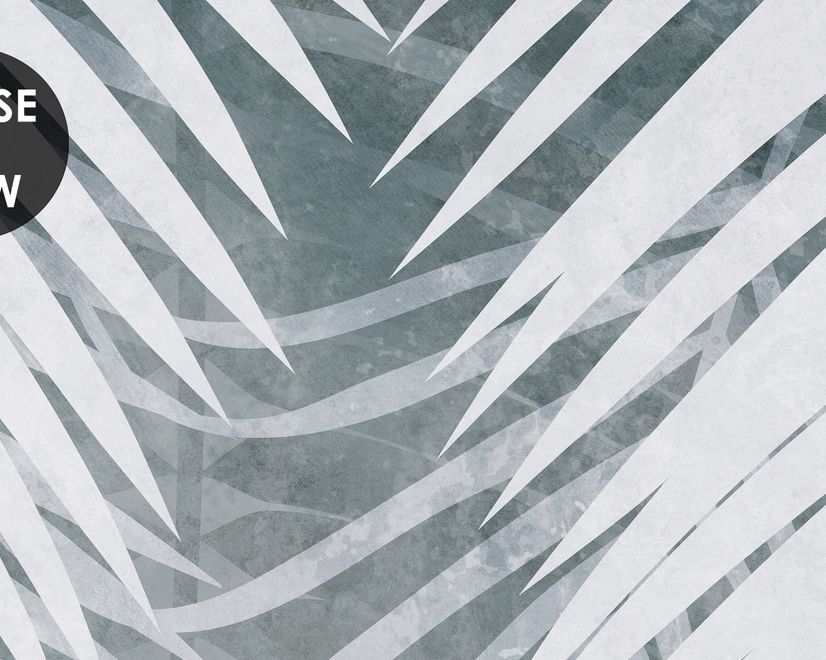 Neutral Tropical Palm Leaf Wallpaper Mural