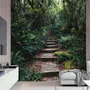 Jungle Pathway Wallpaper Mural