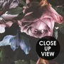Dark Rose Floral Bouqet Wallpaper Mural