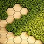 Hexagon Honeycomb Pattern and Fresh Grass Wallpaper Mural