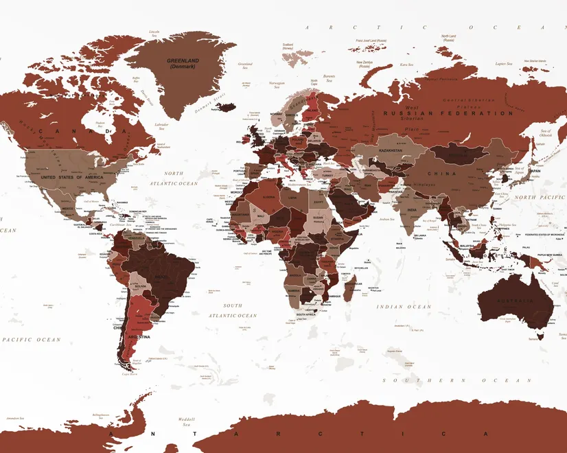 White and Brown Political World Map Wallpaper Mural