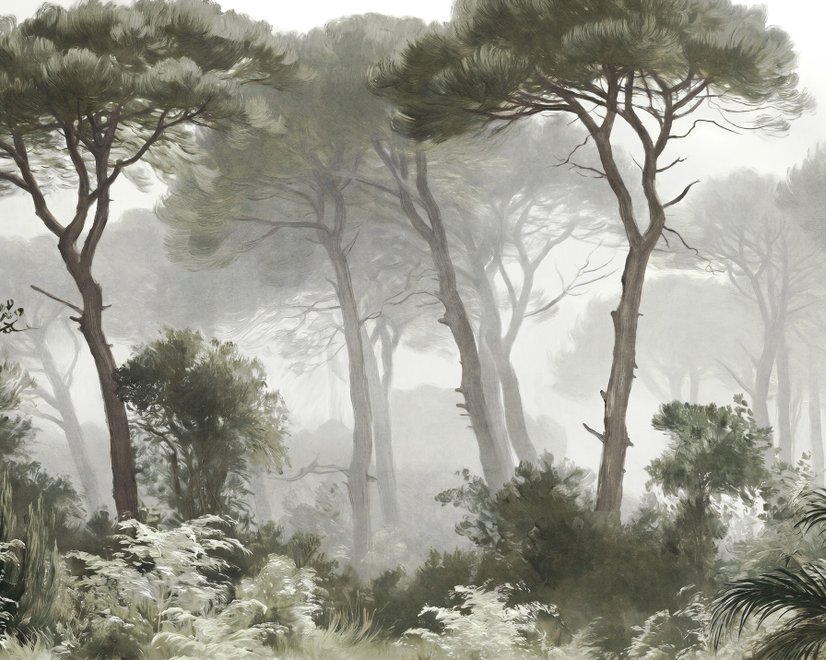 Forest in fog wallpaper with tall pine trees, grey mist, shrubs and a spiky palm in watercolour.