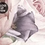 Soft Peony Floral Wallpaper Mural