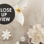 Vintage Water Lily Pond Wallpaper Mural