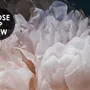 Dark Floral Peony Bouquet Wallpaper Mural