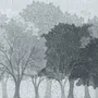 Light gray wallpaper mural with misty forest trees, falling leaves and birds