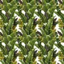 Green Banana Leaves Wallpaper Mural