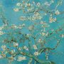 Papier peint panoramique Van Gogh, fleurs d'amandier