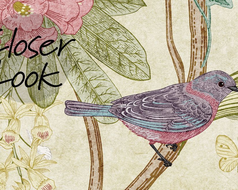 Colorful Chinoiserie Floral Wallpaper Mural