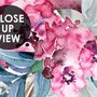 Papier peint panoramique fleur de pivoine rose aquarelle