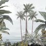 Exotic Forest on Seaside Wallpaper Mural