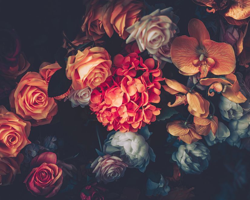 Red Hydrangea Orange Orchid Rose Dark Floral Bouqet Wallpaper Mural