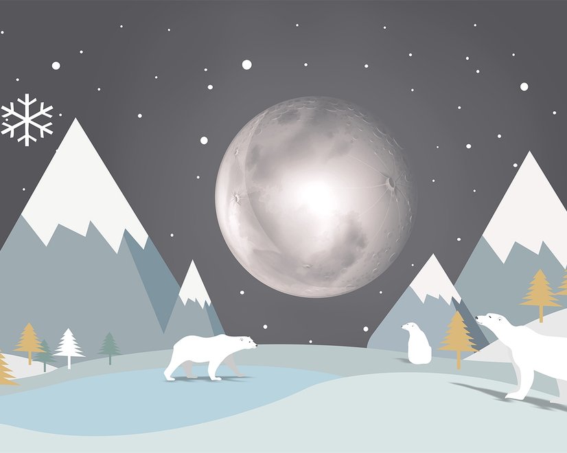 Papier peint panoramique pour enfants avec des ours mignons et des paysages nocturnes