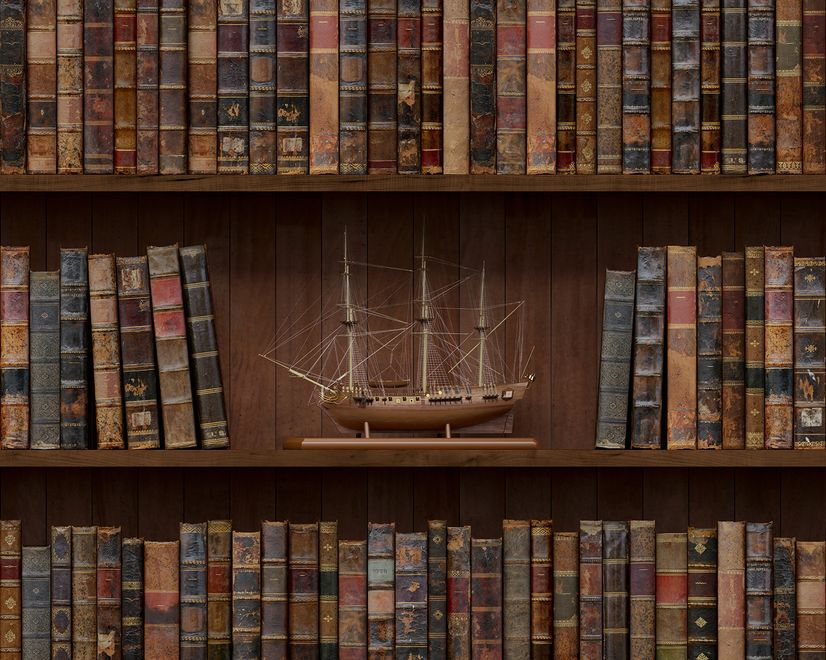 Vintage Library Wallpaper Mural