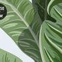 Kids Jungle View with Exotic Animals Wallpaper Mural