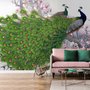 Elegant Peacock with Cherry Blossom Wallpaper Mural