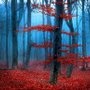 Herbstwald mit Roten Blättern Landschafts-Fototapete
