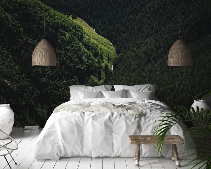 Papier peint panoramique vue aérienne de forêt naturelle sur les montagnes