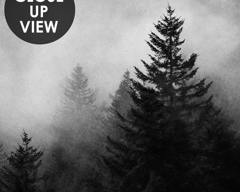 Misty Dark Forest Landscape Wallpaper Mural