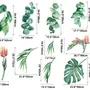 Tropical Leaf with Eucalyptus Wall Decal Sticker
