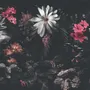 Dark Floral Garden Wallpaper Mural