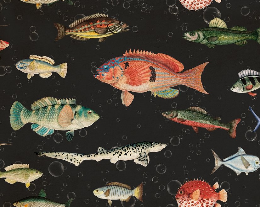 Vintage Ocean Fish Art Wallpaper Mural
