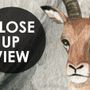 Kids Tropical Jungle Animals Wallpaper Mural