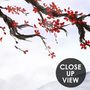 Schneebedeckte Berglandschaft mit Kirschblüten Fototapete