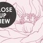 Poppy Drawing Floral Wallpaper Mural