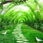 3D Look Forest Way Landscape Wallpaper Mural