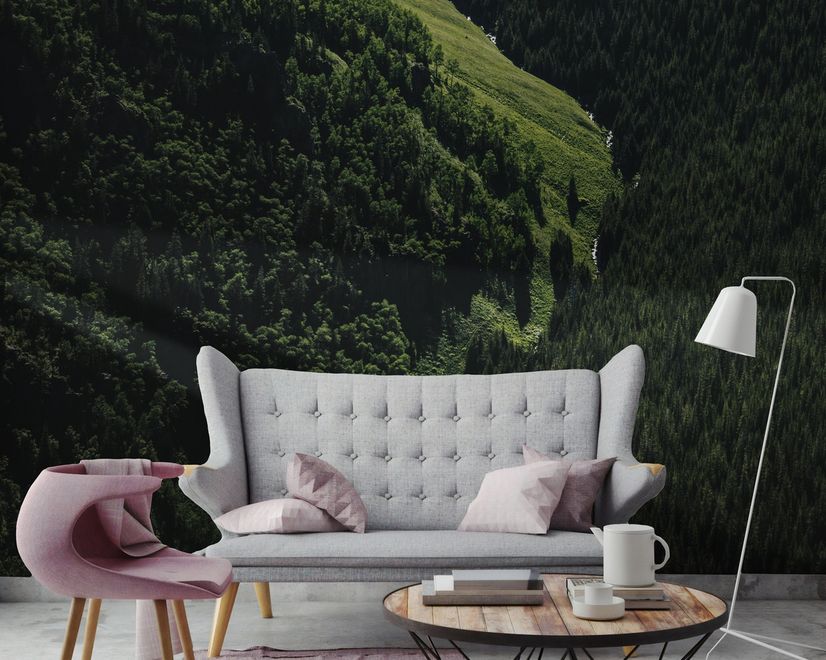 Aerial Nature Forest on Mountains View Wallpaper Mural