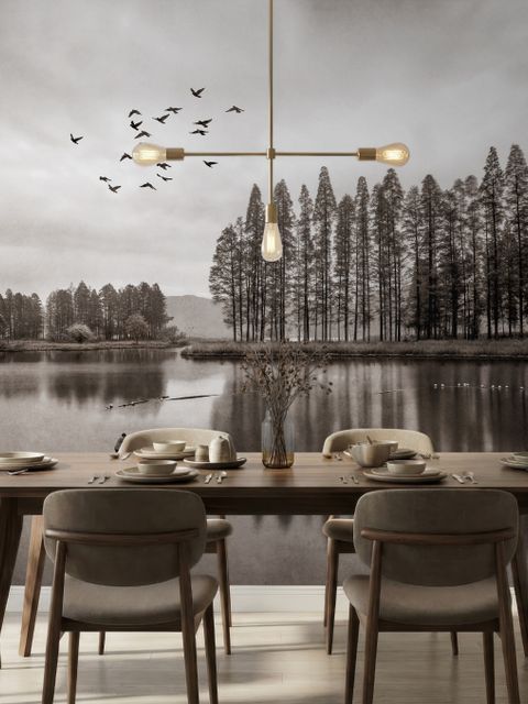 Monochrome Dark Forest and Lake Wallpaper Mural