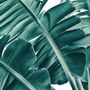 Papier peint feuilles de palmier tropicales