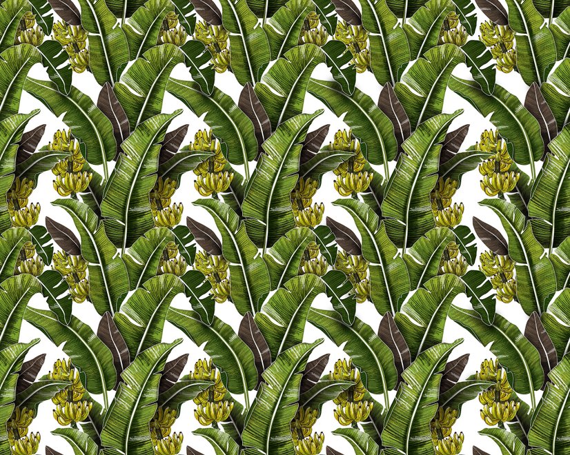 Grüne Bananenblätter Fototapete