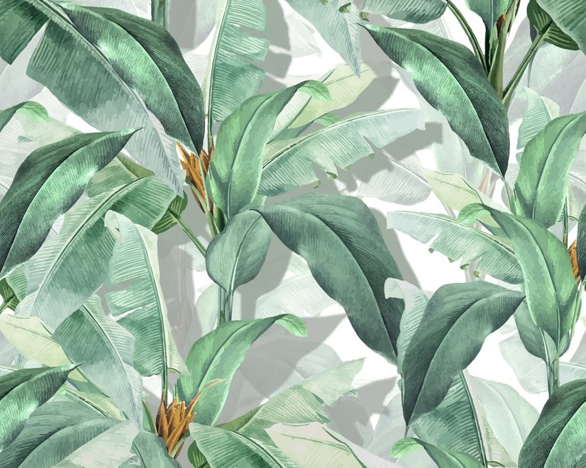 Banana Leaf Wallpaper Wallpaper Mural