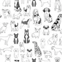 Kids Cartoon Cute Dog Family Wallpaper Mural