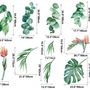 Tropical Leaf with Eucalyptus Wall Decal Sticker