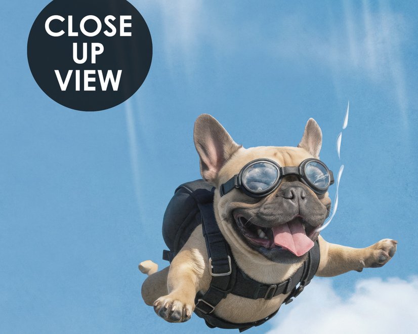 Kids Playful Animal Skydiving Wallpaper Mural